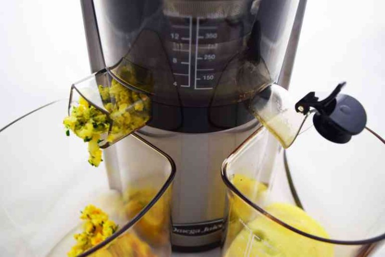 Omega Juicers VSJ843 Test und Erfahrungen Entsafter Test
