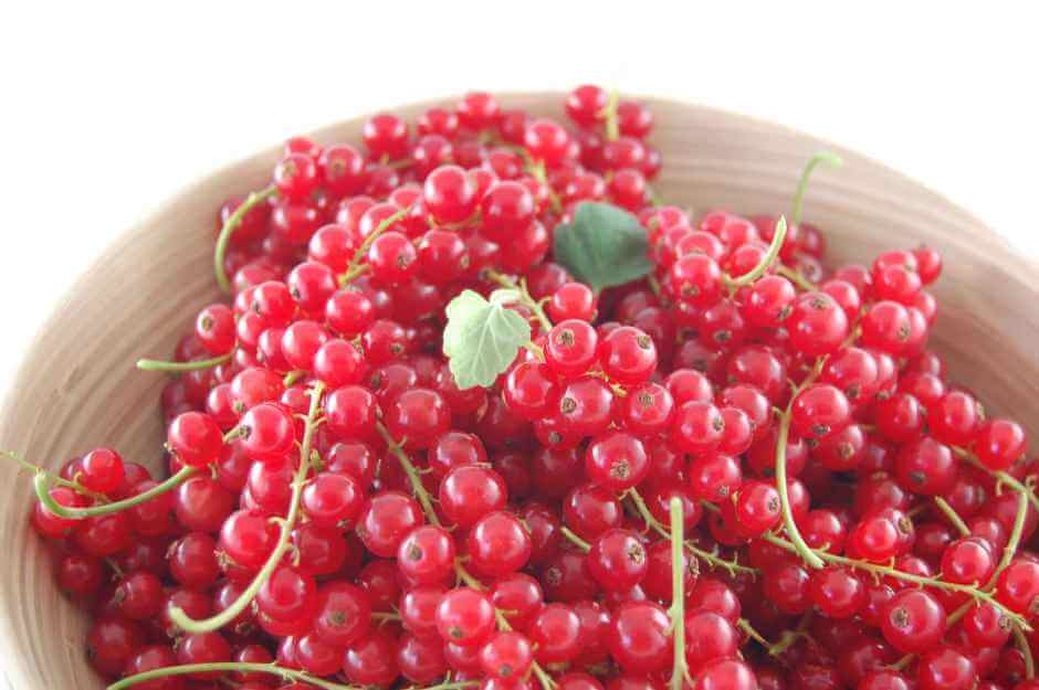 Johannisbeeren selbst entsaften